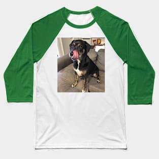 Lily Dog Copy Baseball T-Shirt